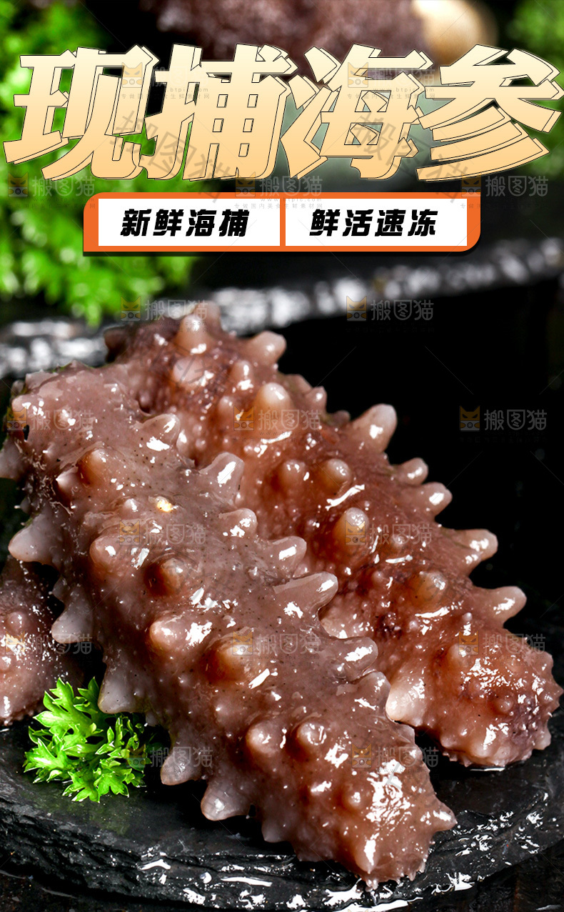 现捕海参详情页
