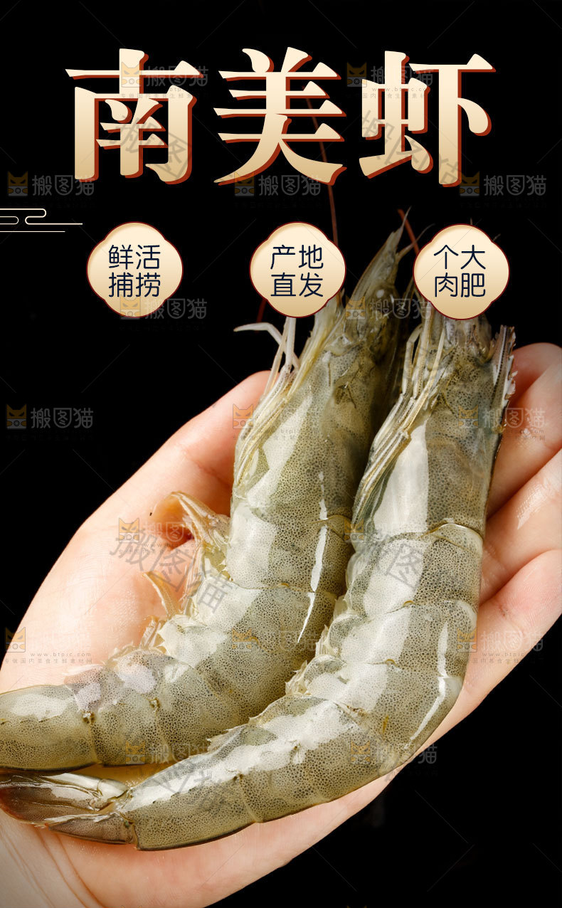 南美对虾详情页