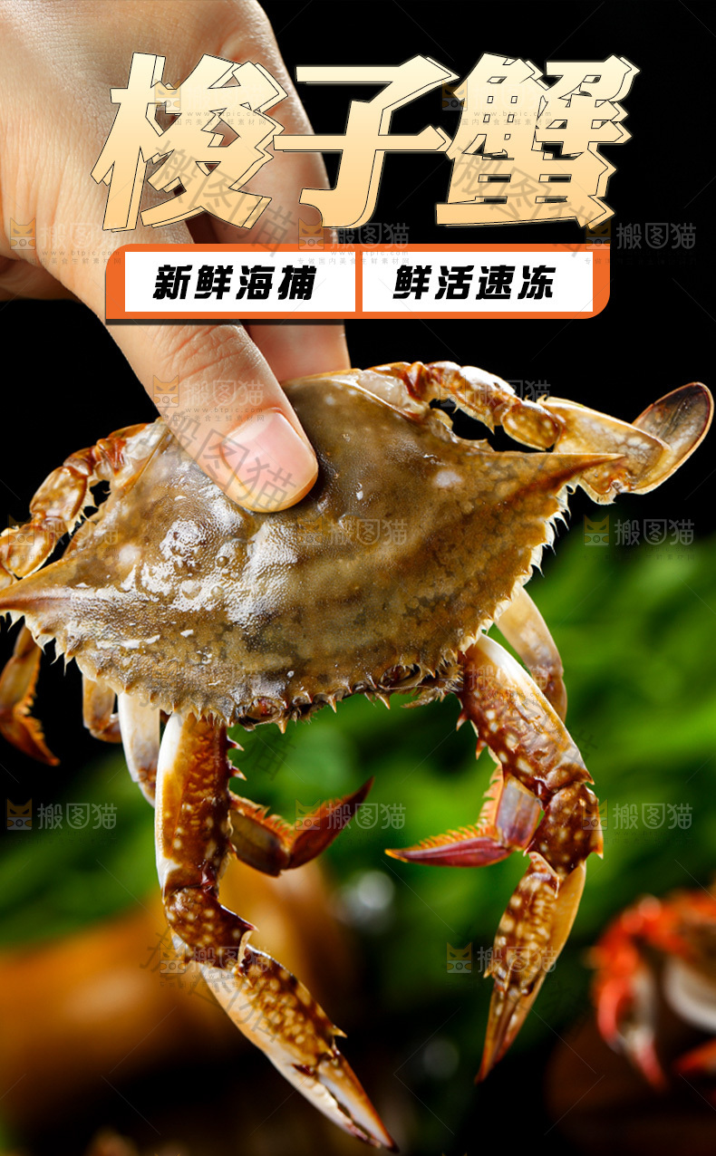 梭子蟹详情页