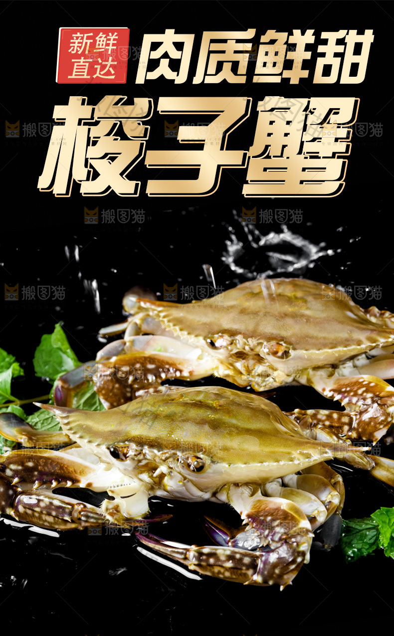 梭子蟹详情页设计