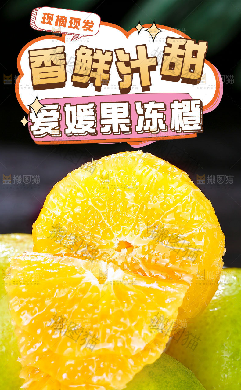 爱媛果冻橙详情