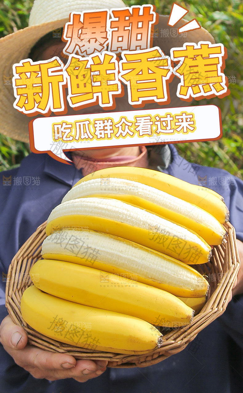 新鲜香蕉详情页
