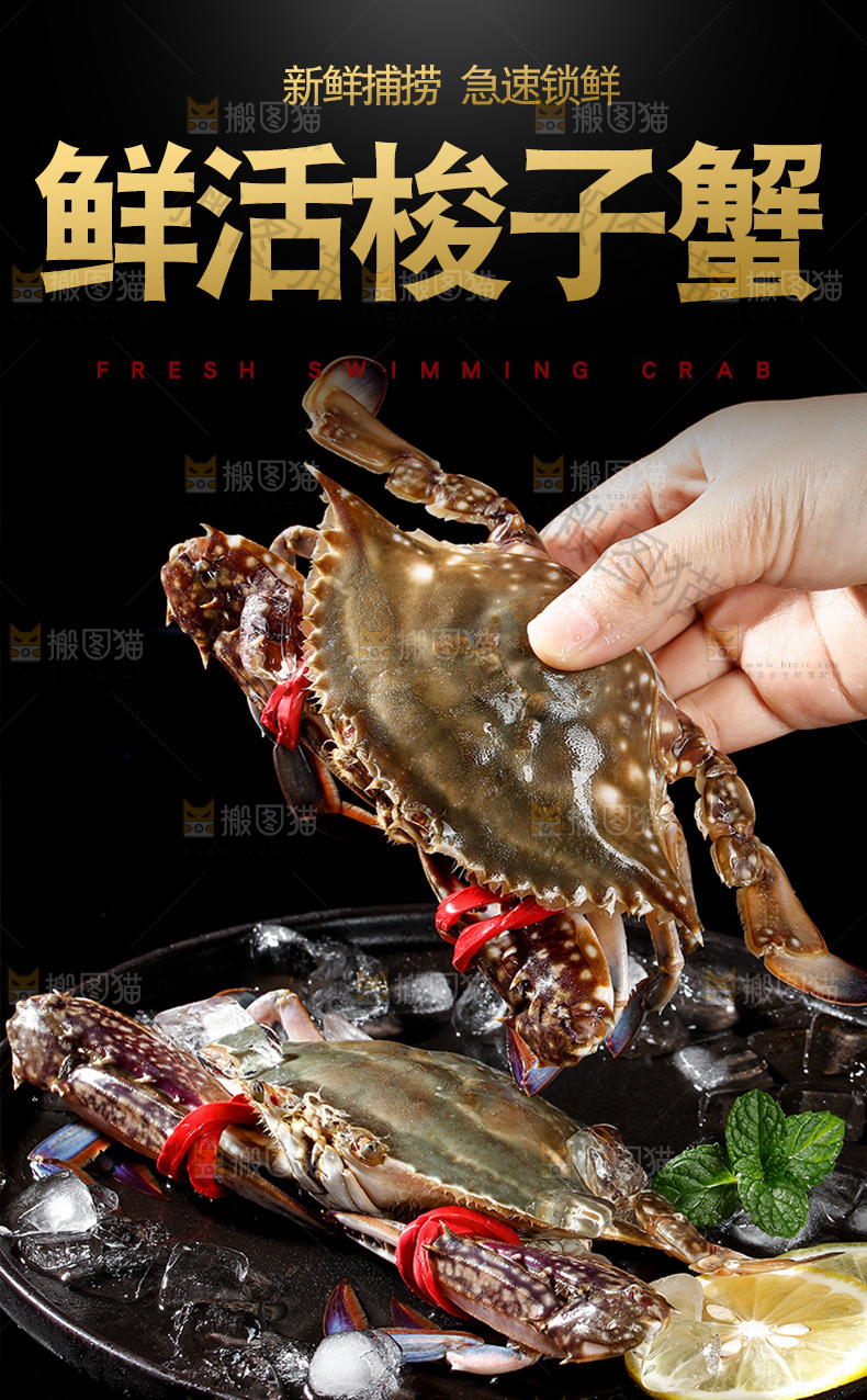 鲜活梭子蟹详情页