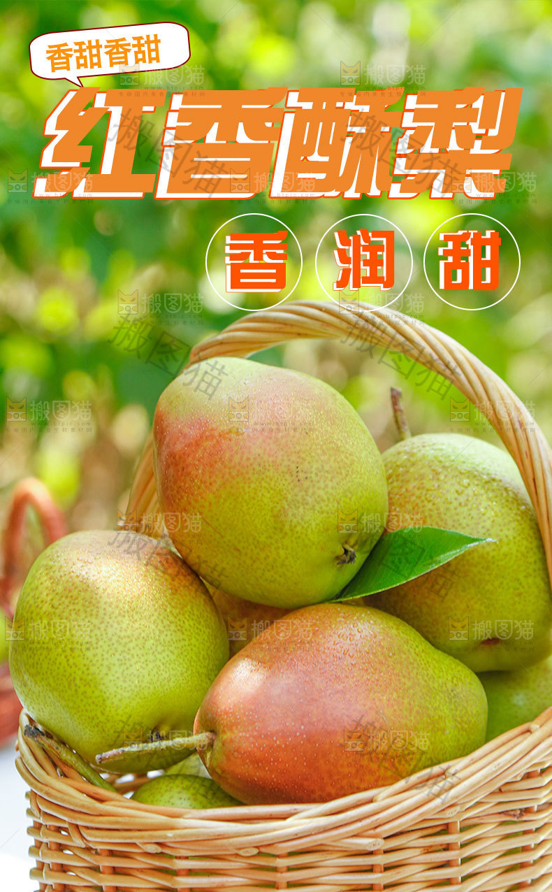 红香酥梨详情页