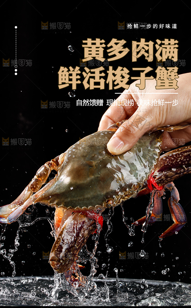 鲜活梭子蟹详情页