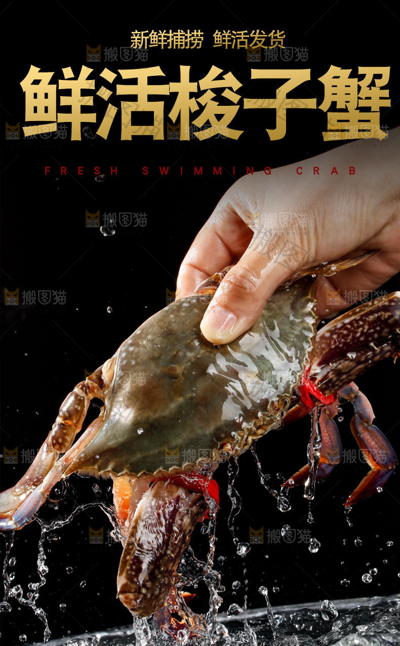 梭子蟹详情页