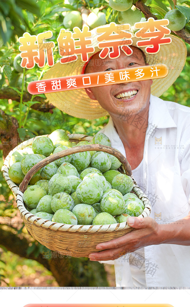 奈李详情页