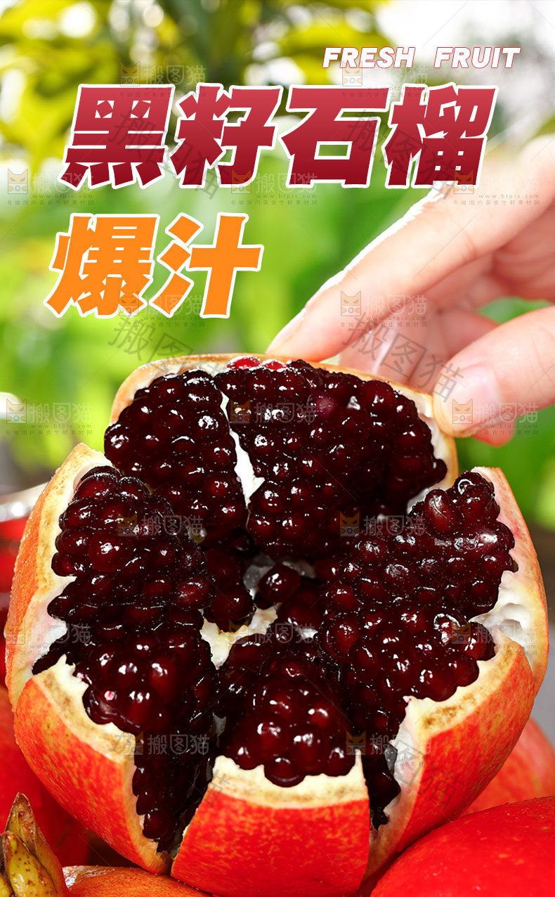 黑籽石榴详情