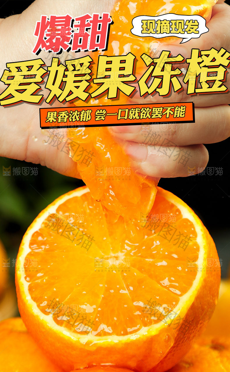 爱媛果冻橙详情