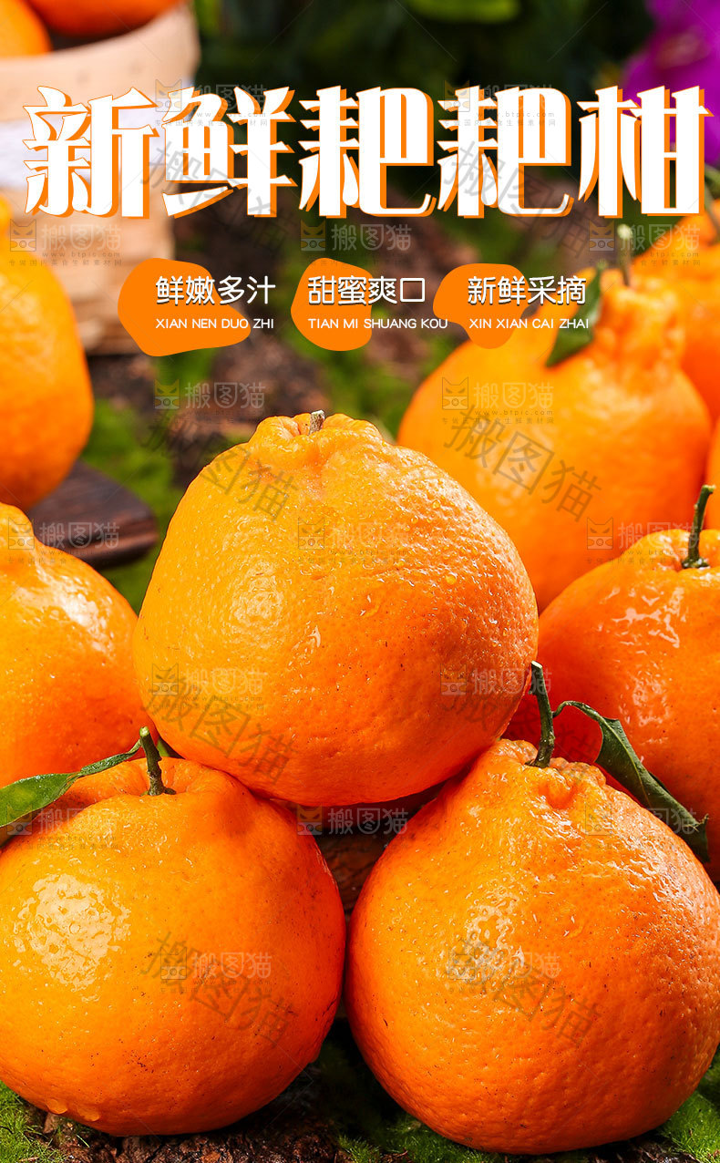 春见耙耙柑详情页