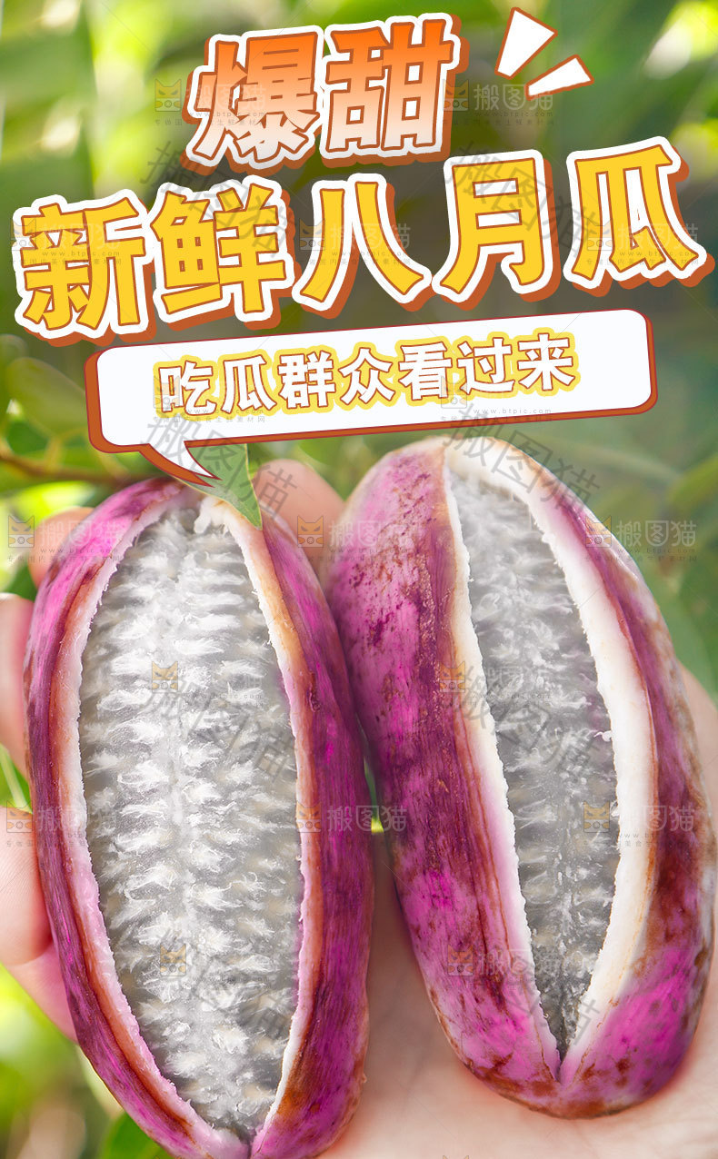 新鲜八月瓜