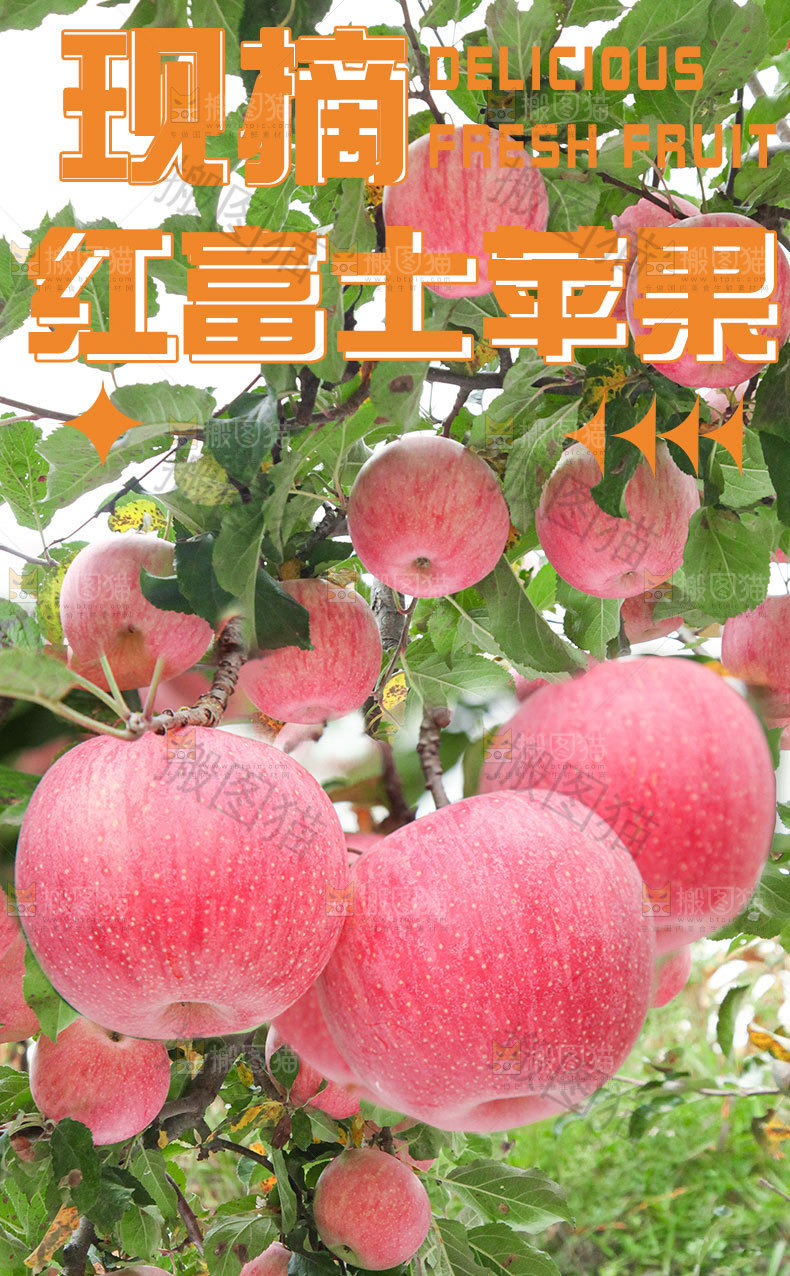 红富士苹果详情页