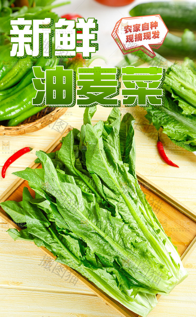 油麦菜详情页