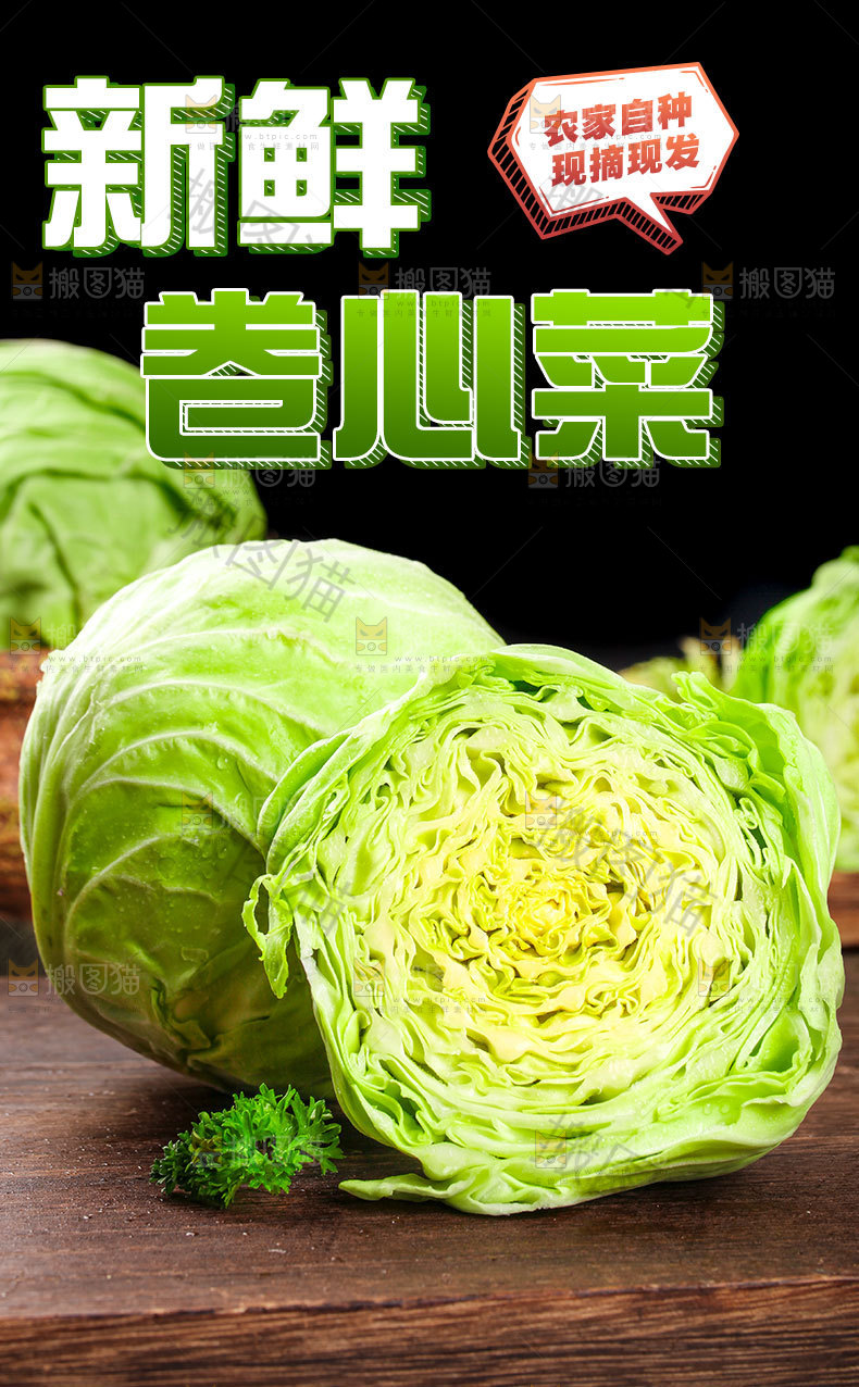 卷心菜详情页