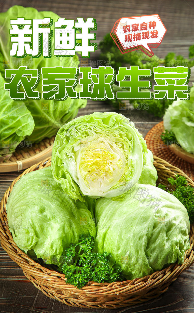 农家球生菜详情页