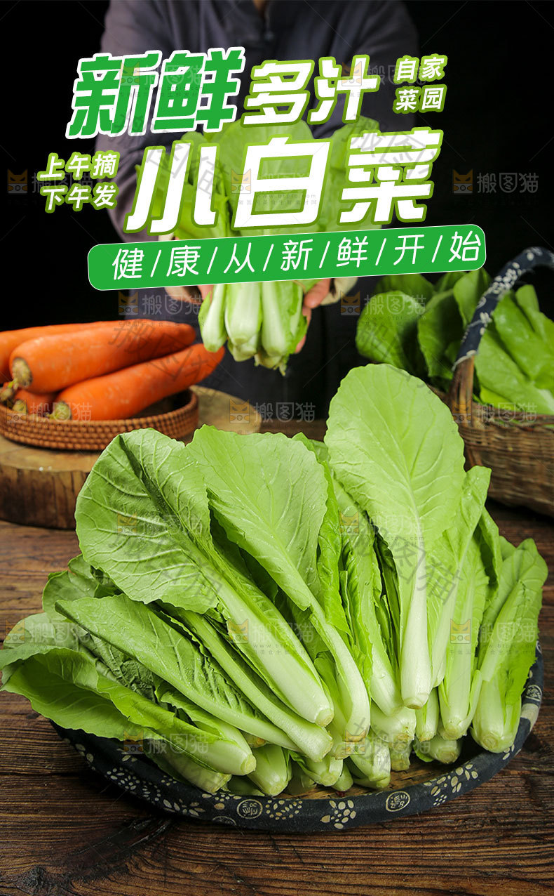 奶油白菜详情