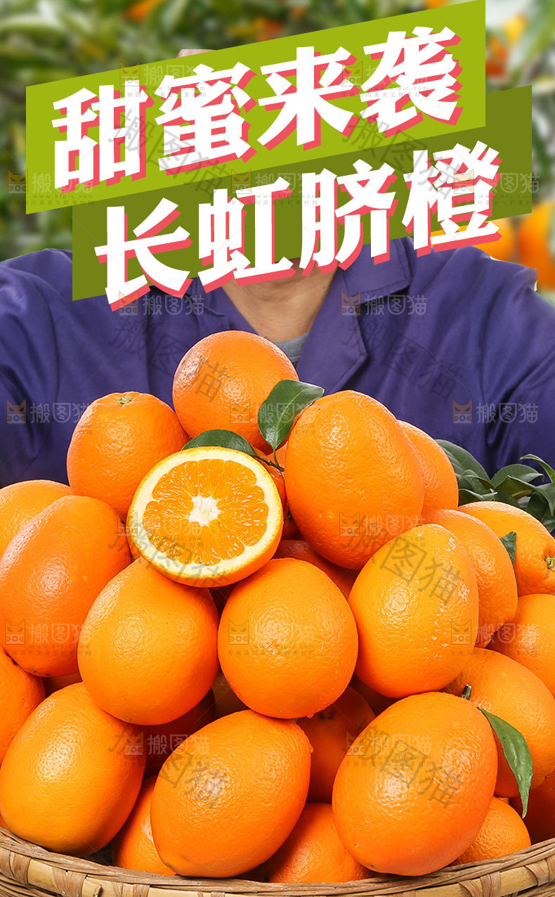长虹脐橙详情页