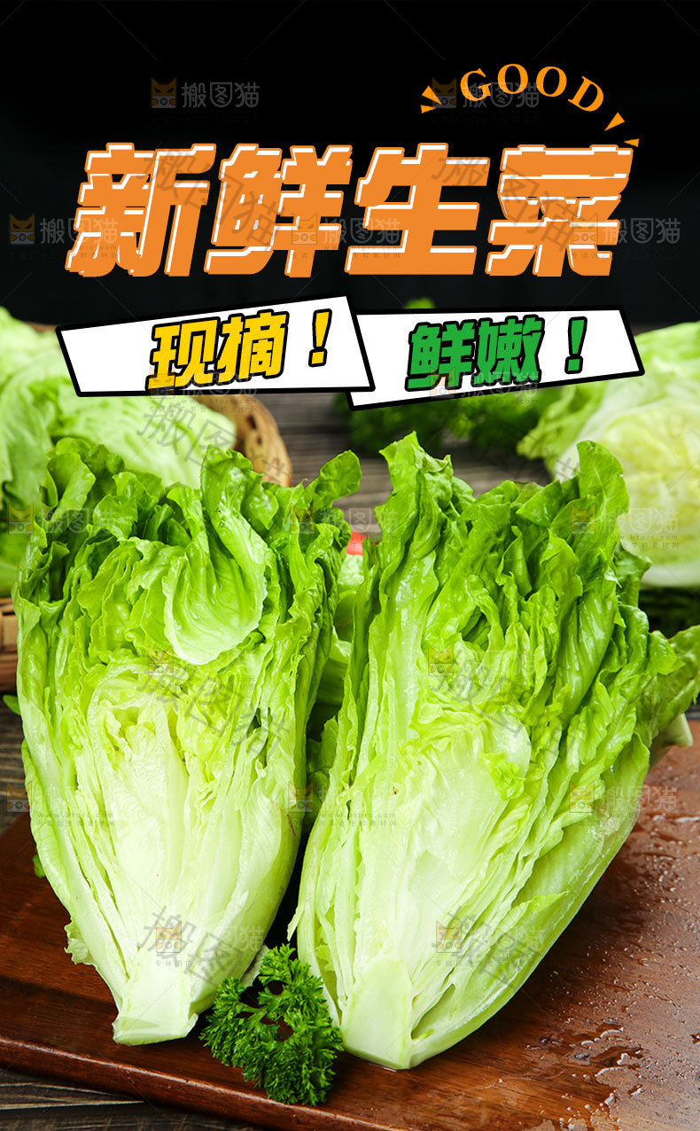 新鲜生菜详情页