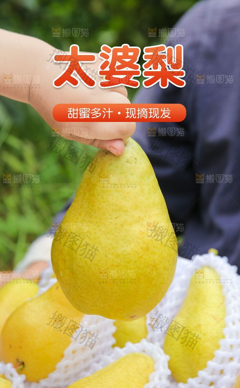 太婆梨详情页