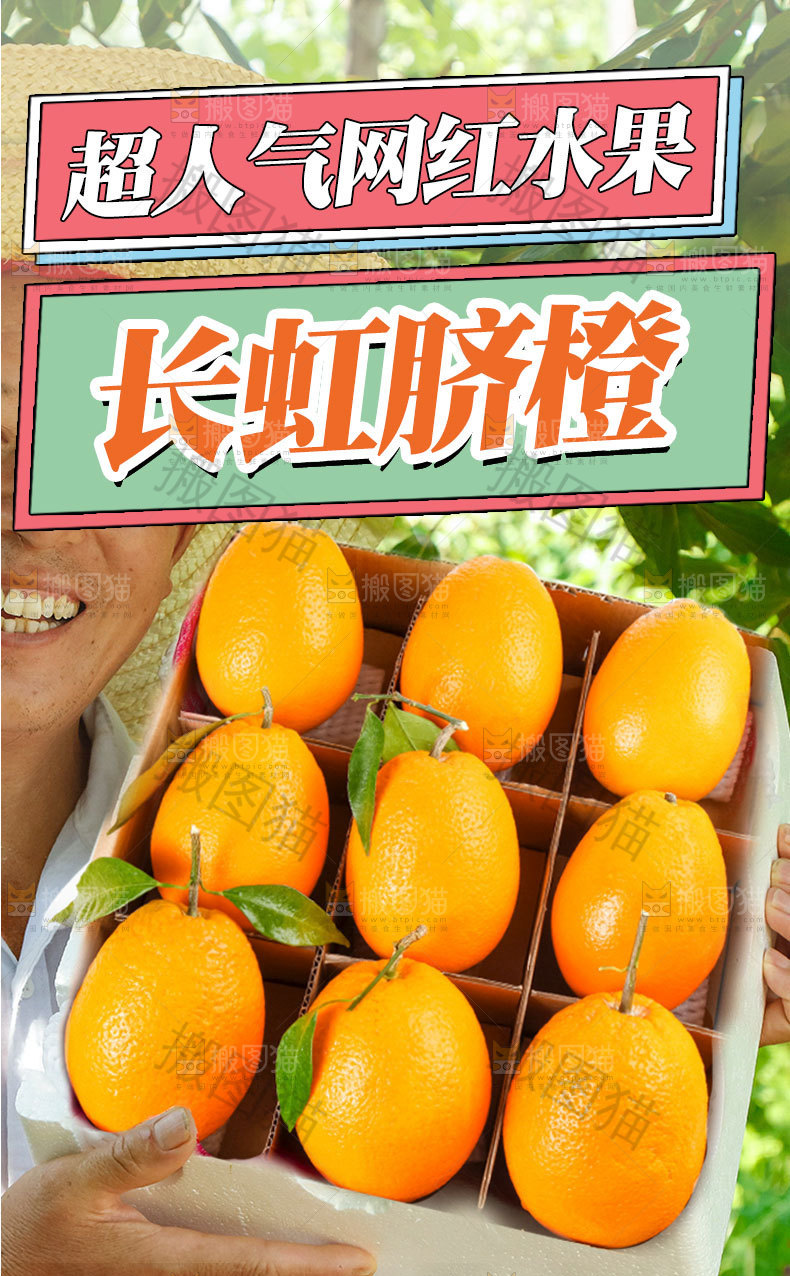 长虹脐橙详情页设计