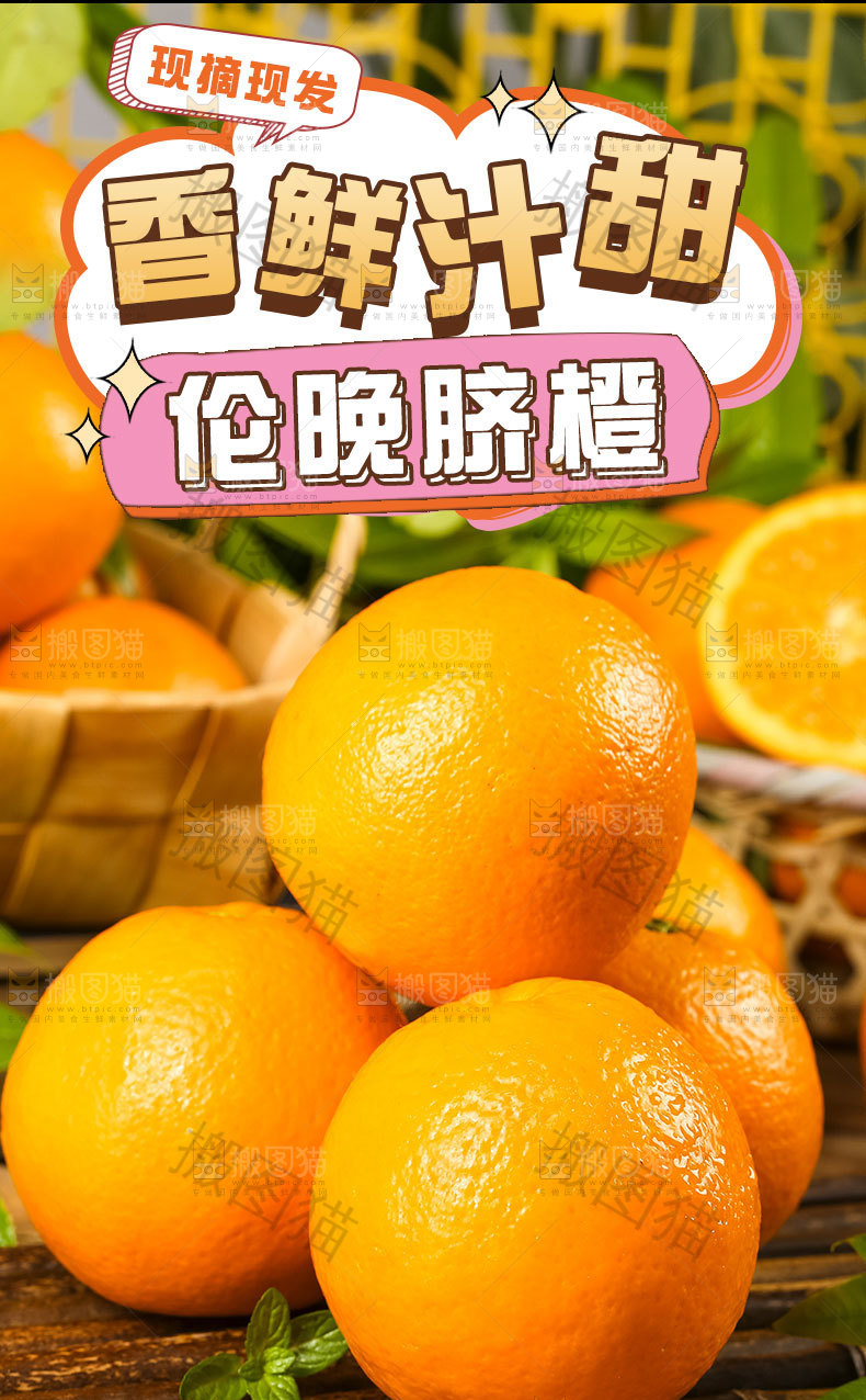 伦晚脐橙详情页
