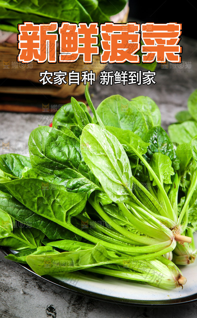 新鲜菠菜详情页