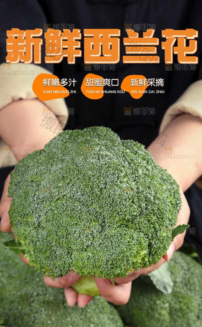 西兰花详情页