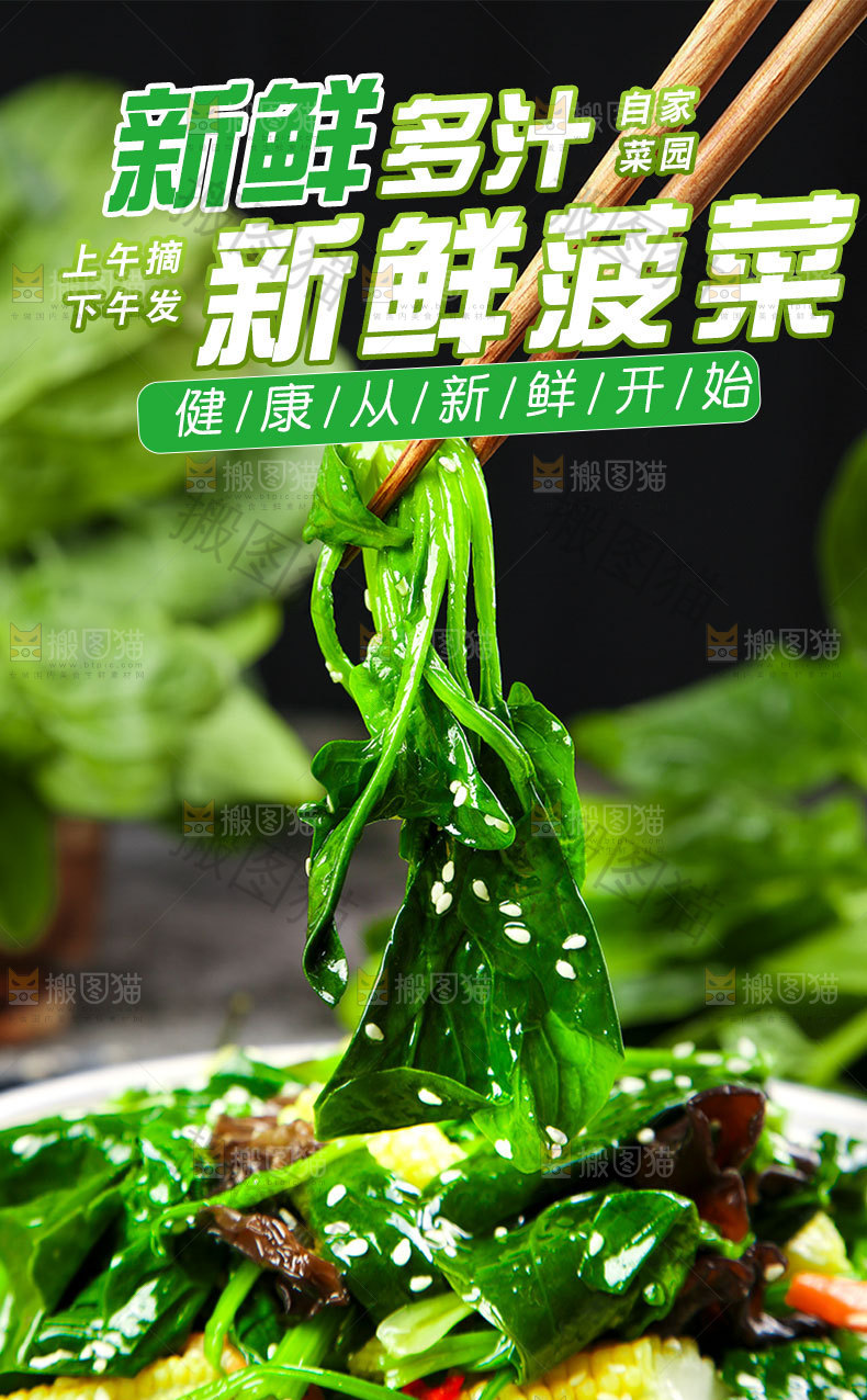 新鲜菠菜详情页