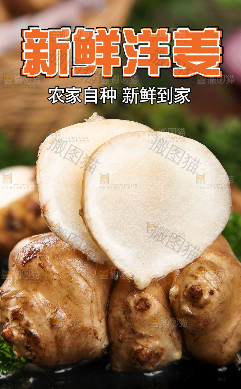 新鲜洋姜详情页