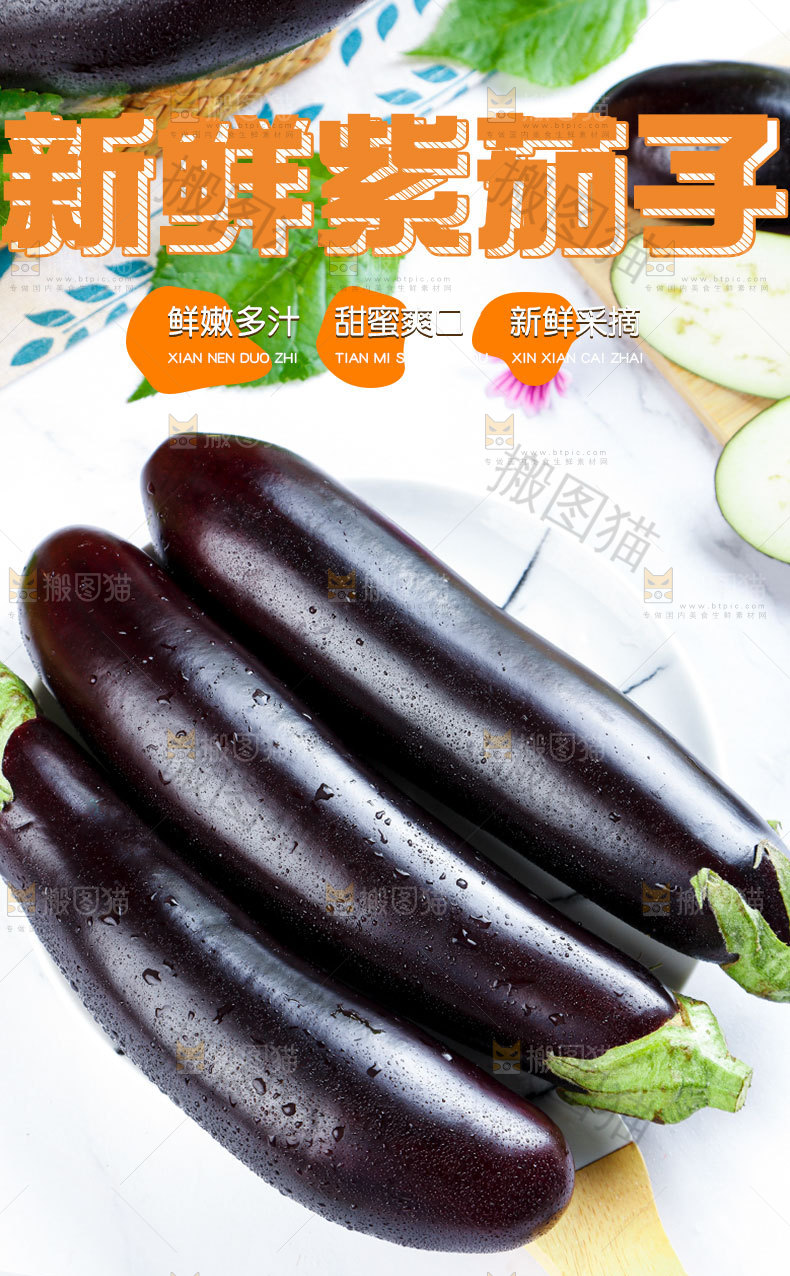 新鲜紫茄子详情页