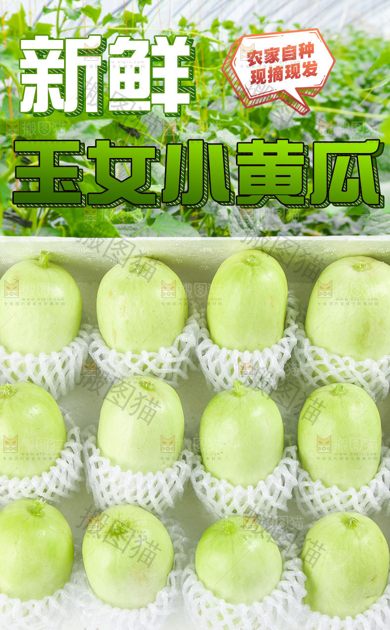 拇指黄瓜详情页