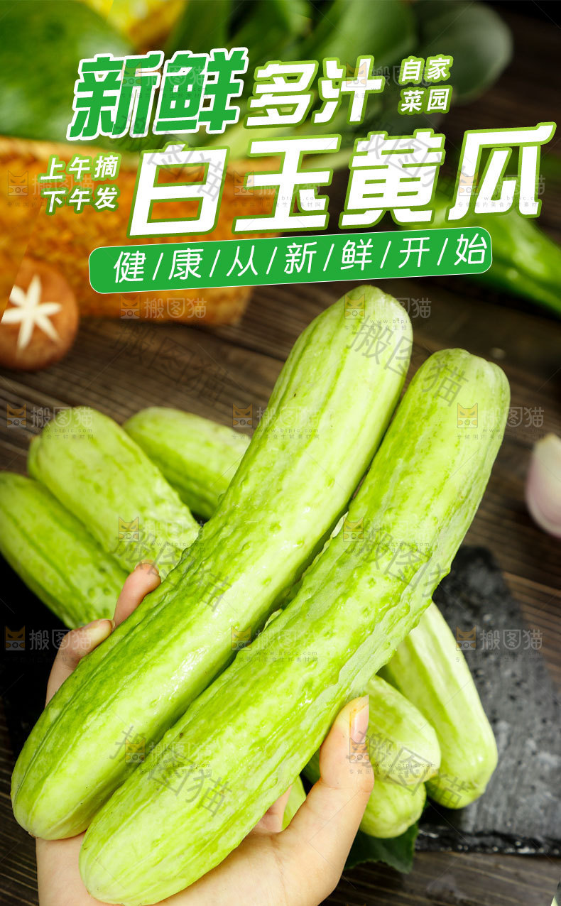 新鲜白玉黄瓜详情