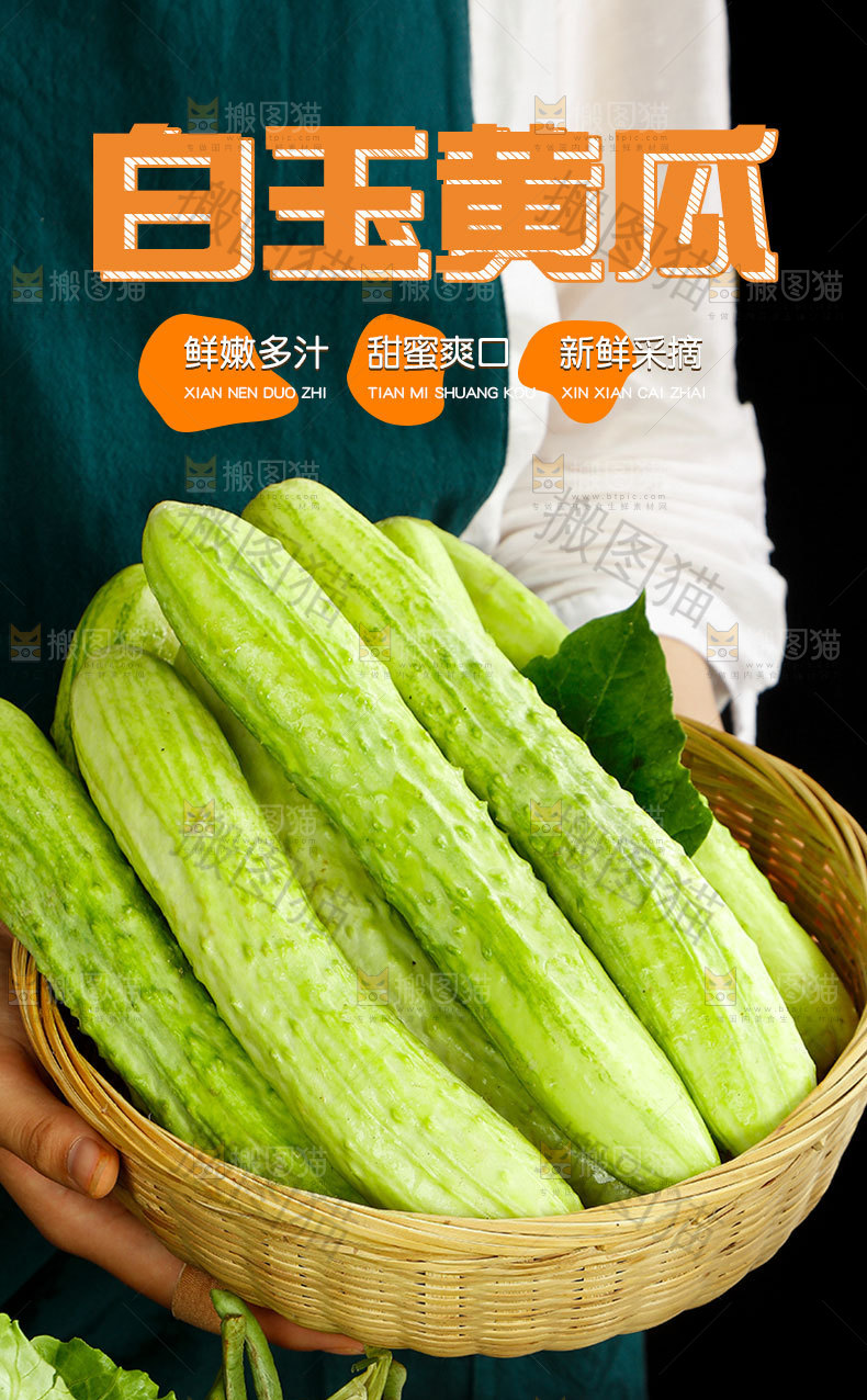海阳白玉黄瓜详情页