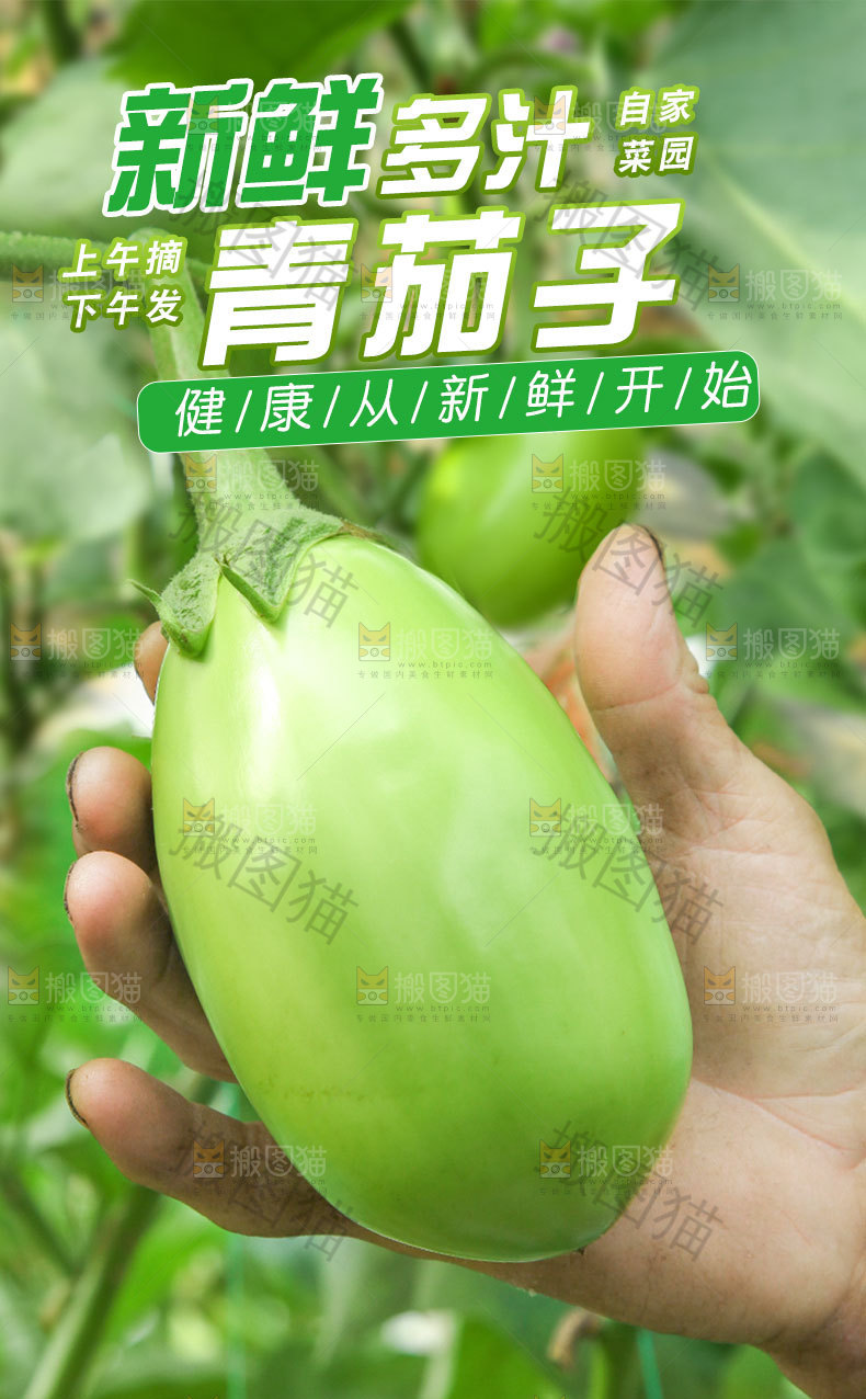 青茄子详情页