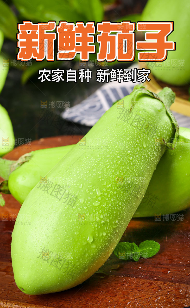 东北青茄子详情页