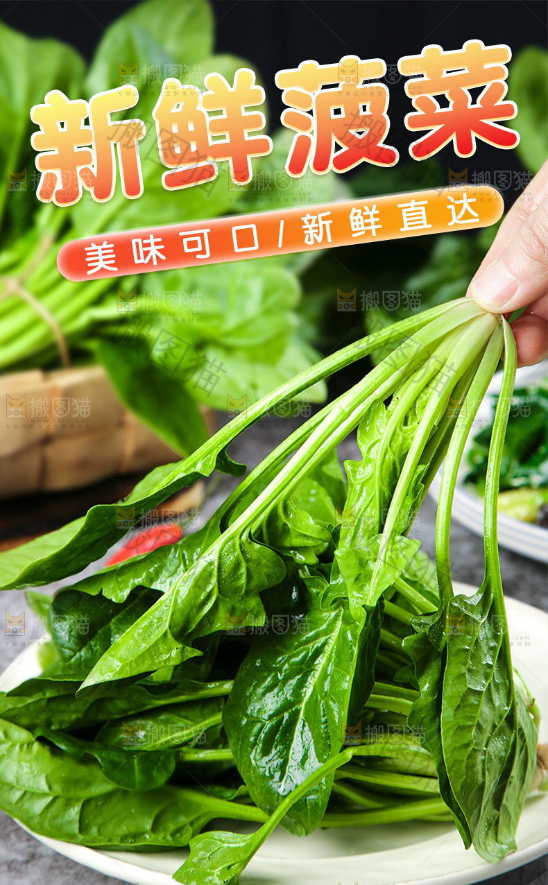 新鲜菠菜详情页