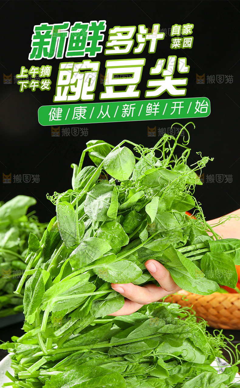 豌豆尖详情页设计