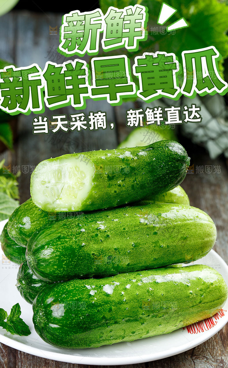 新鲜旱黄瓜详情页