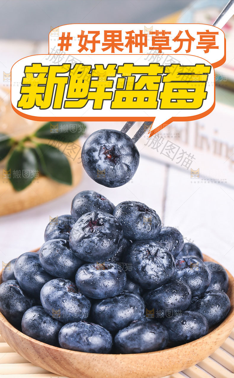 云南蓝莓详情页