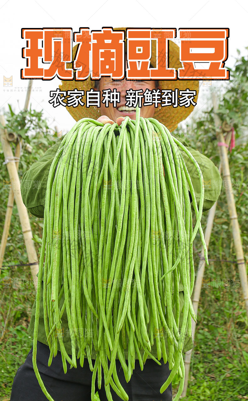 长豇豆详情页设计