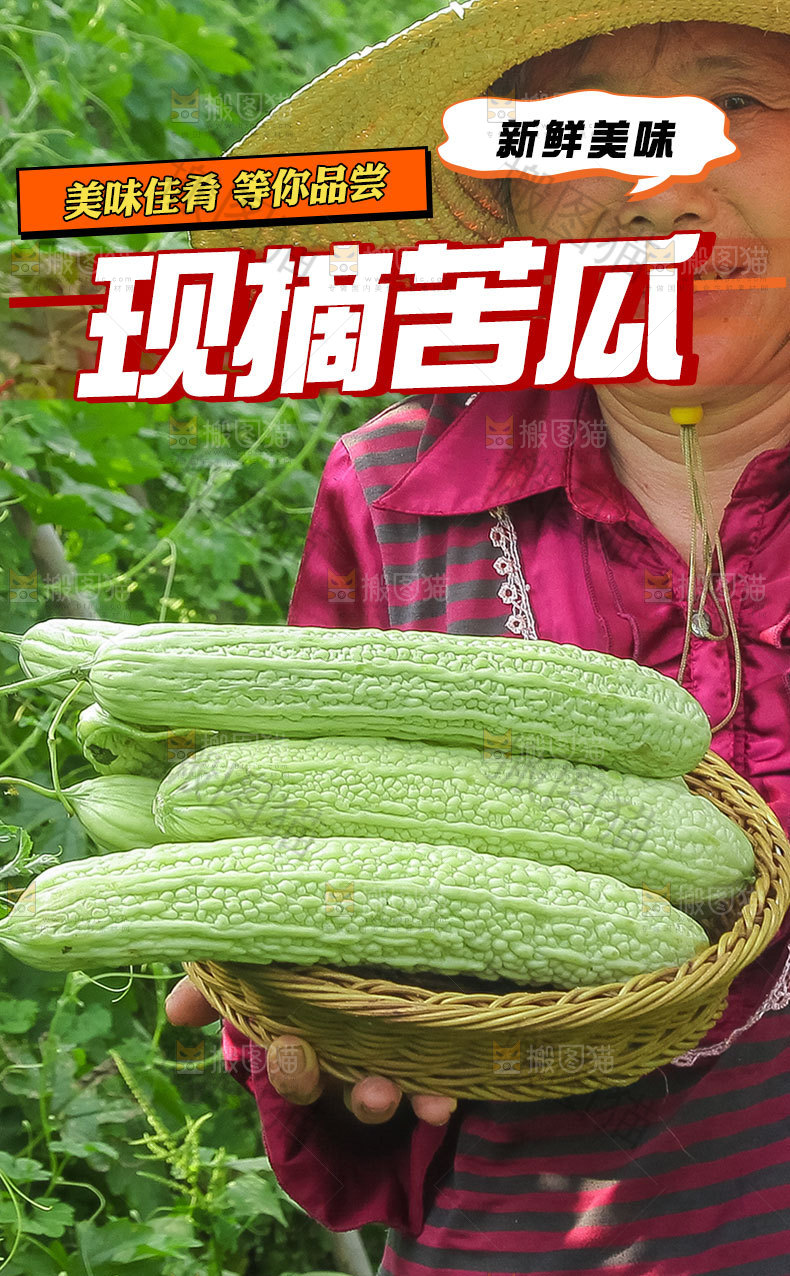 农家苦瓜详情页