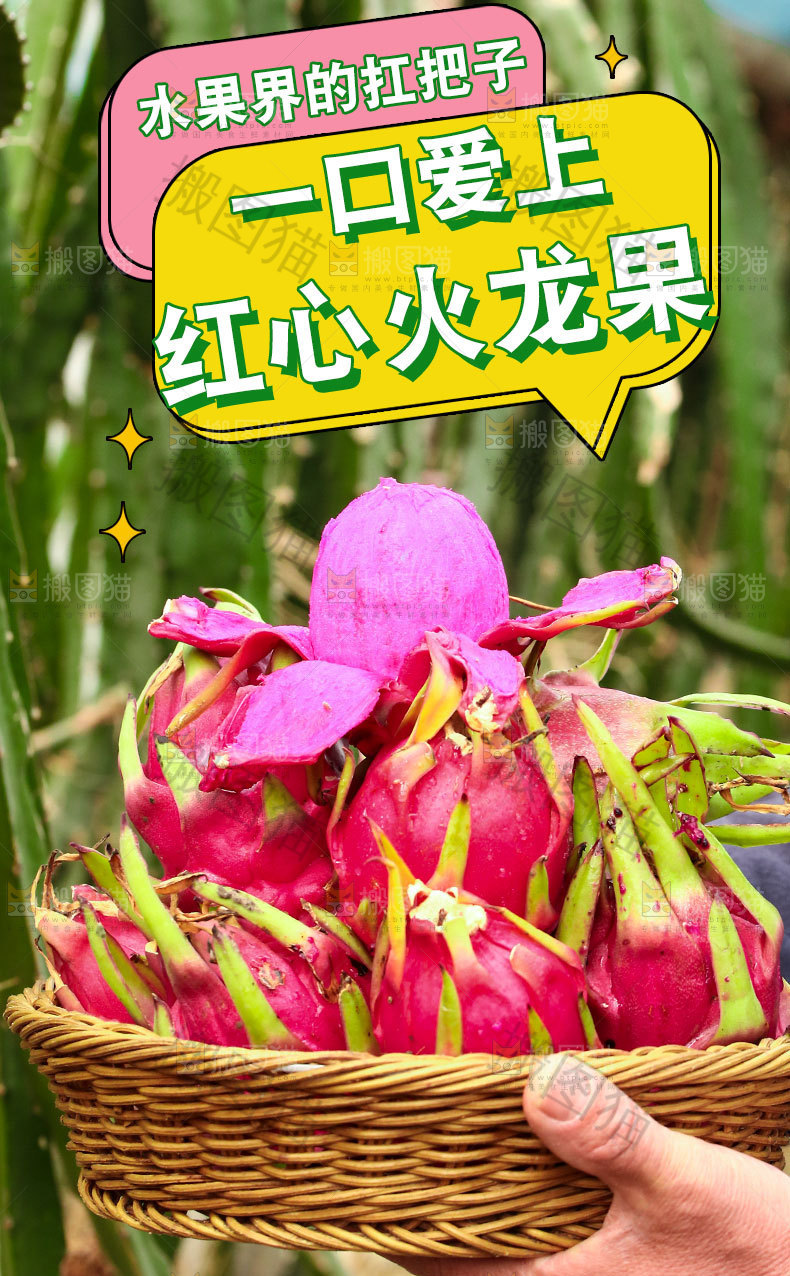 新鲜红心火龙果详情