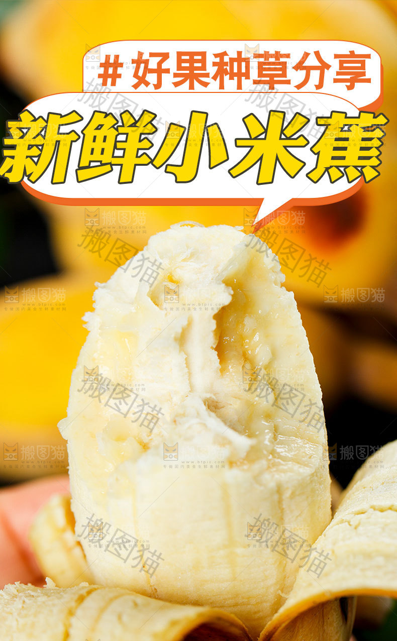 新鲜小米蕉详情页