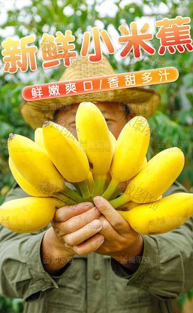 新鲜小米蕉详情页