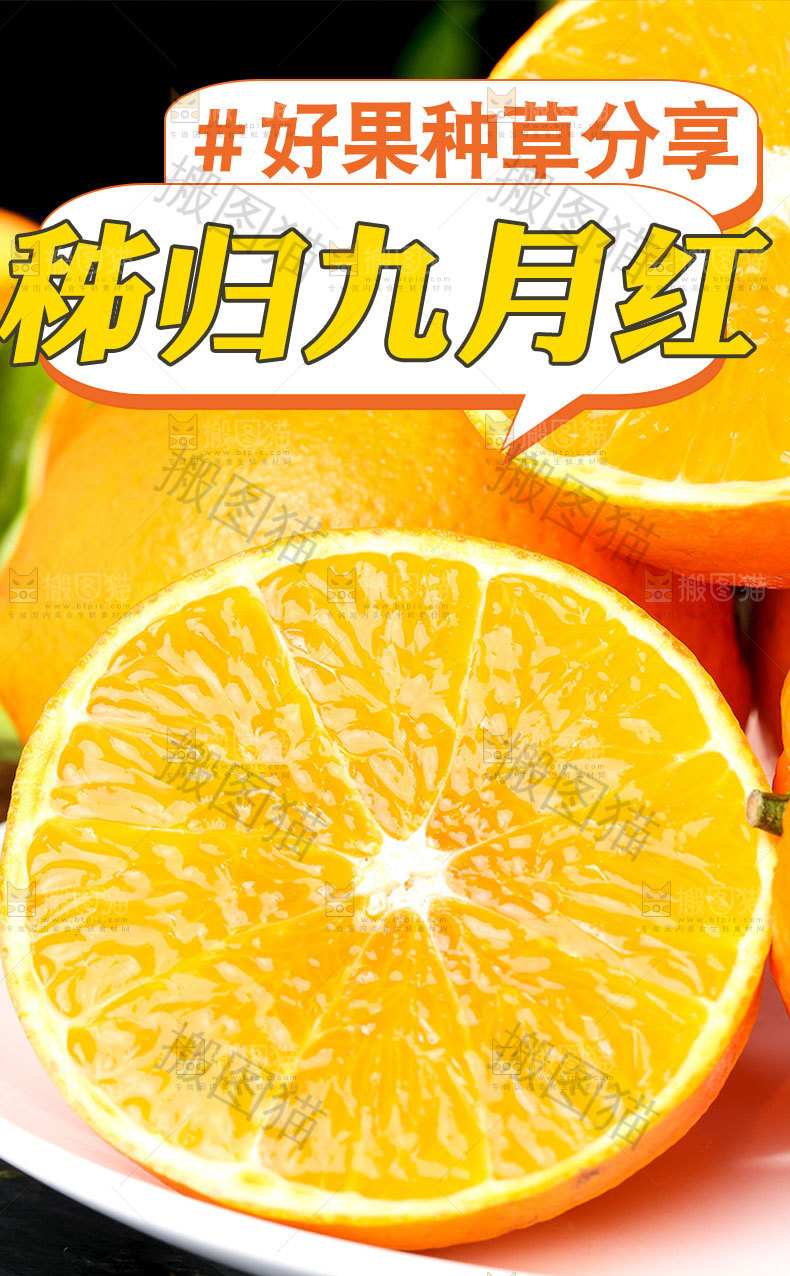 九月红脐橙详情页