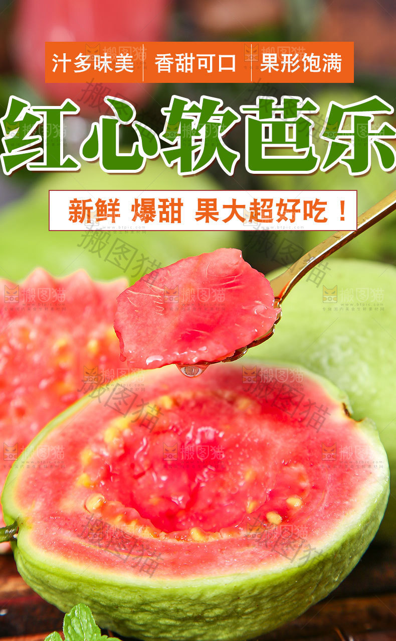 红心软芭乐详情