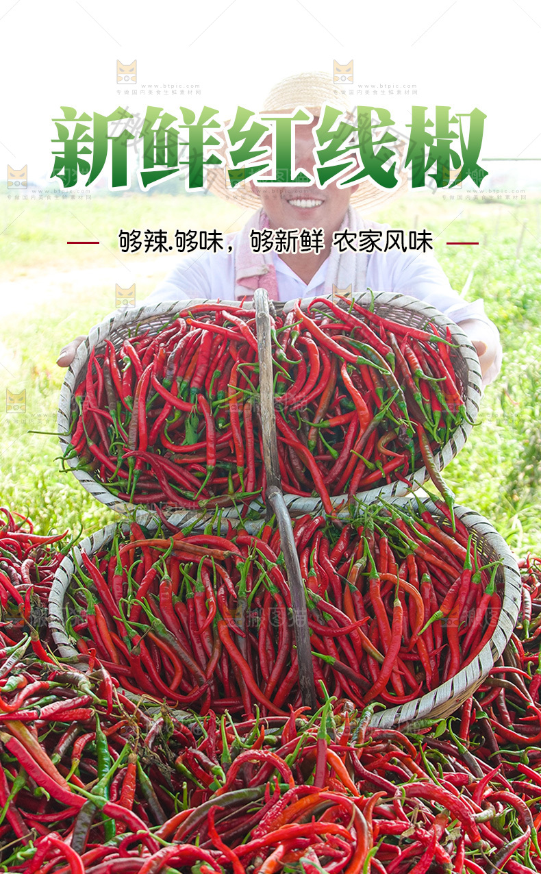 线椒详情页设计