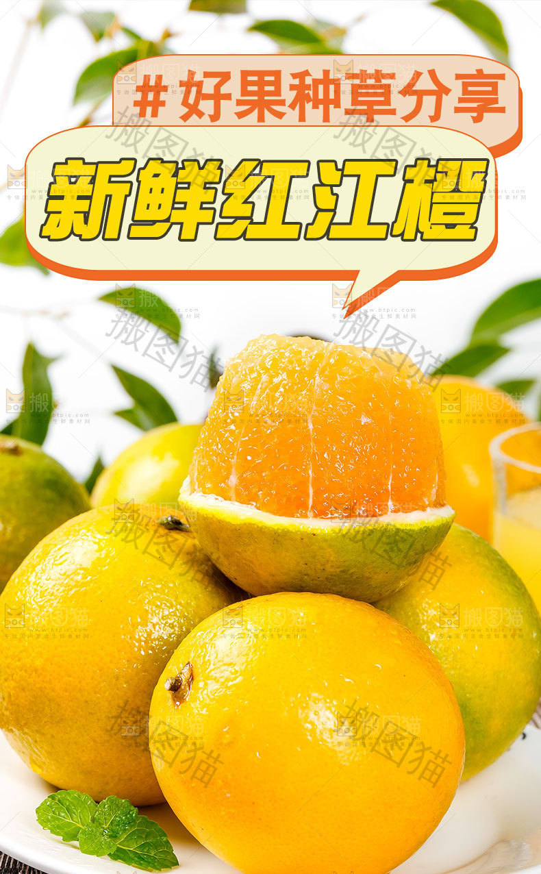 新鲜红江橙详情页