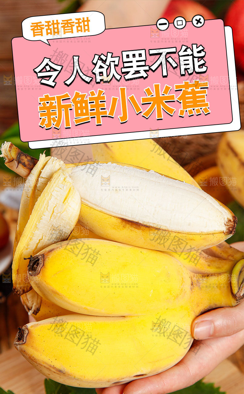 新鲜小米蕉详情页