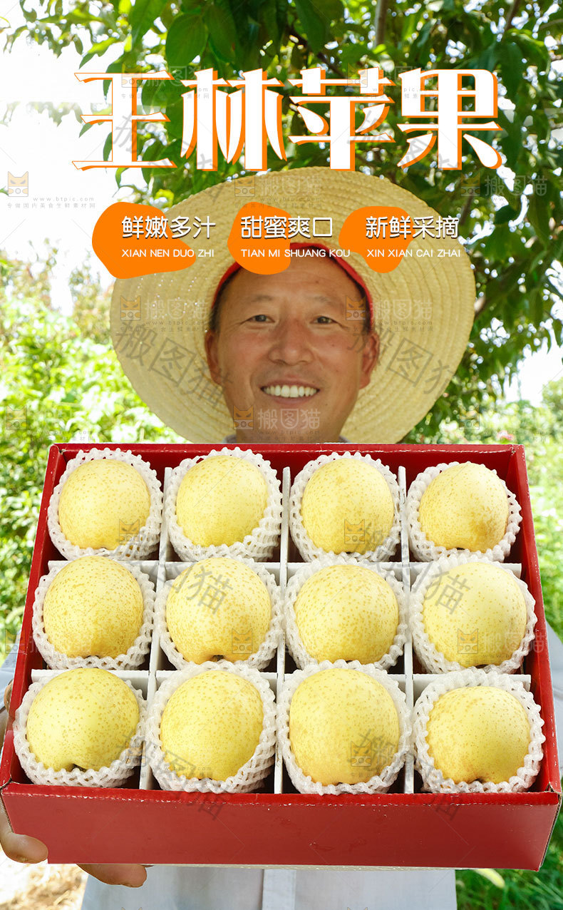 王林苹果详情